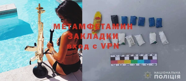 шишки Надым