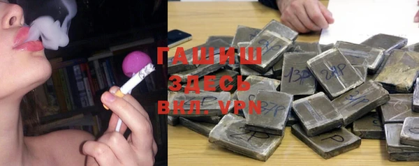 шишки Надым