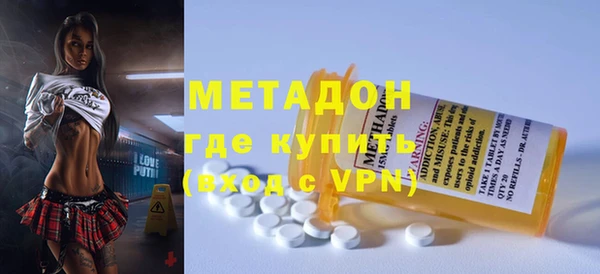 шишки Надым