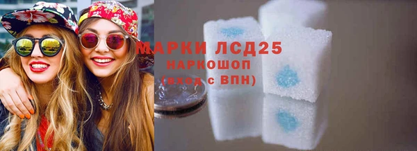 шишки Надым