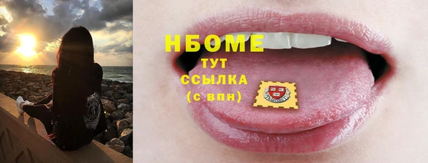 шишки Надым