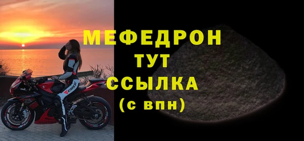 шишки Надым