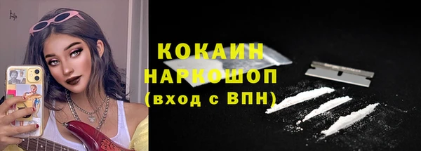 шишки Надым