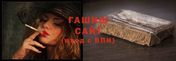 шишки Надым