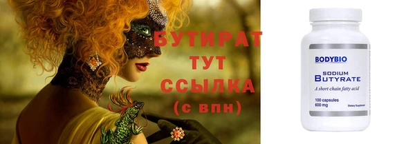 шишки Надым