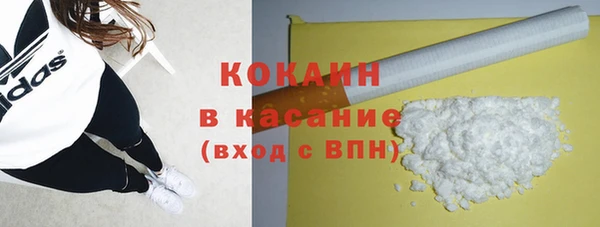 шишки Надым