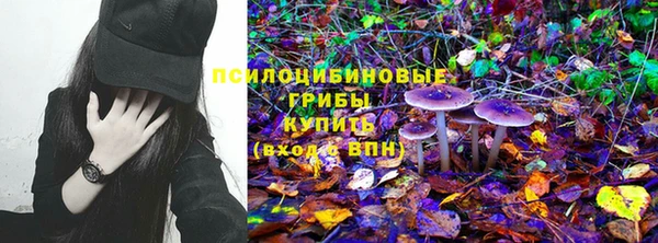шишки Надым