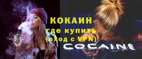 шишки Надым