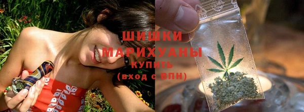 шишки Надым