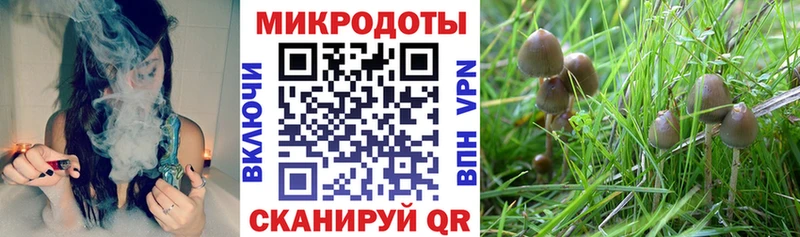 купить наркоту  Дыгулыбгей  omg tor  Галлюциногенные грибы мицелий 